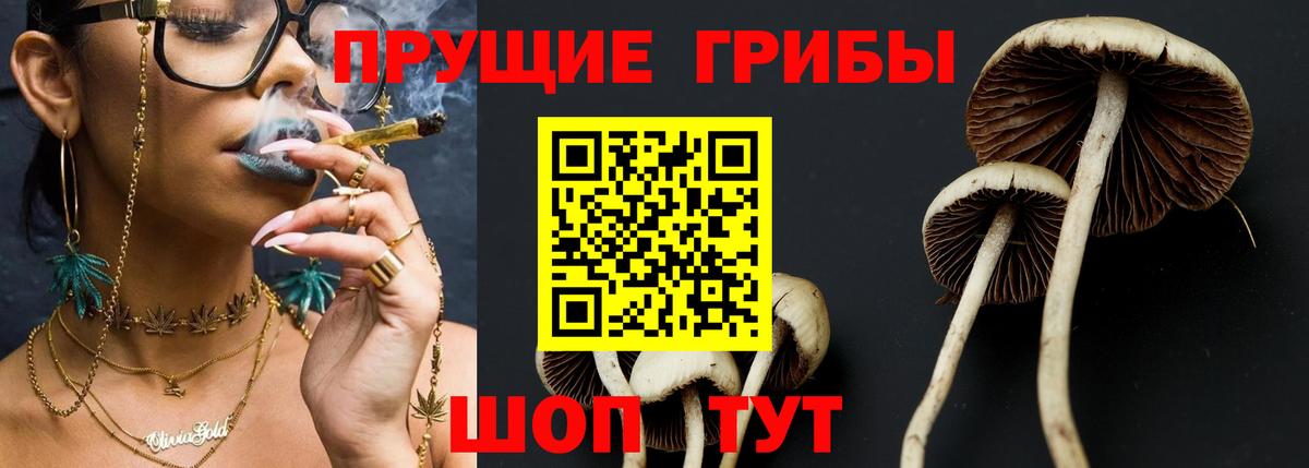 Псилоцибиновые грибы мицелий  Вход с VPN  Орёл 